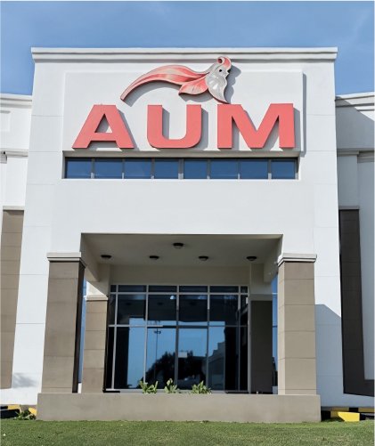 AUM University Car Park – Al-Eqaila